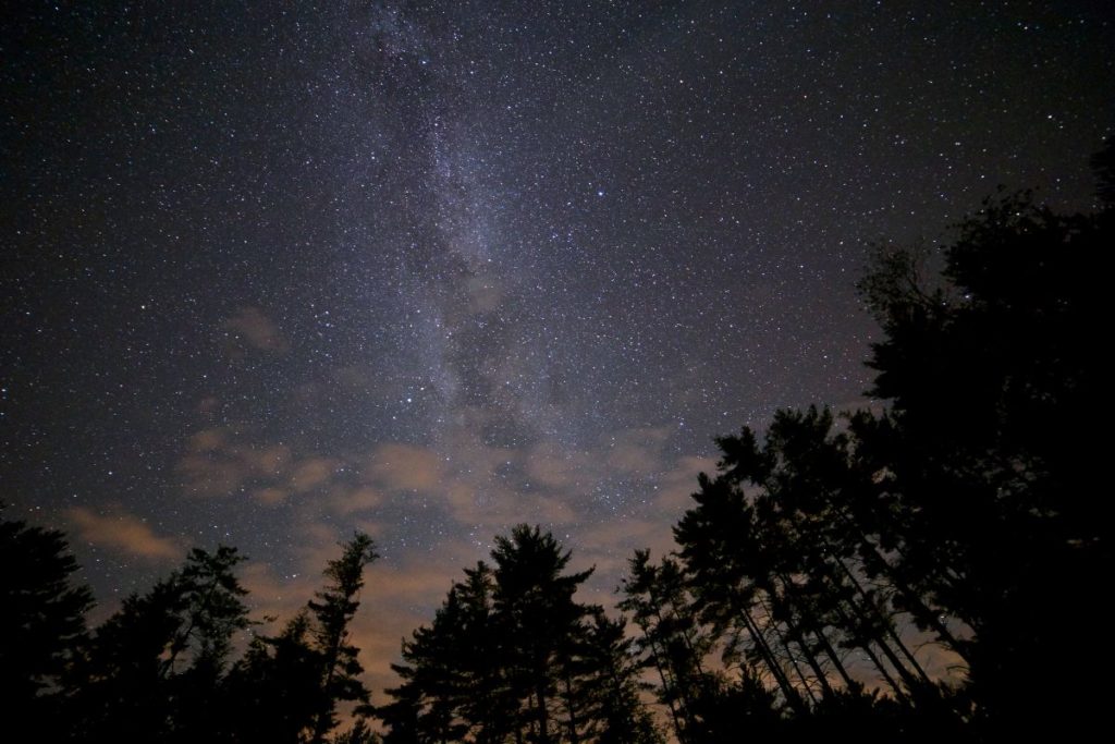 Sternenhimmel in einer dunklen Nacht im Wald